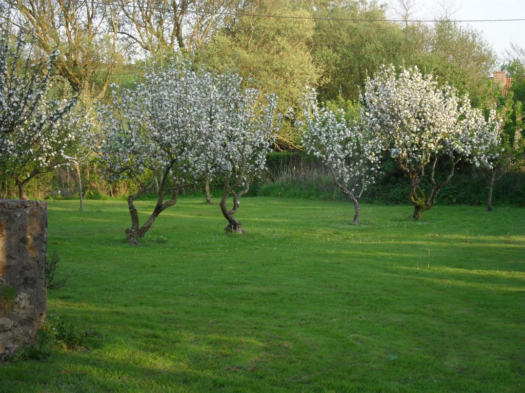 Domaine De La Ronville Wimereux Zewnętrze zdjęcie